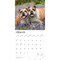 Bulldogs | 2026 12 x 24 Inch (Hanging) Monthly Square Wall Calendar | Plastic-Free